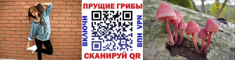 Галлюциногенные грибы Cubensis  Новокузнецк 