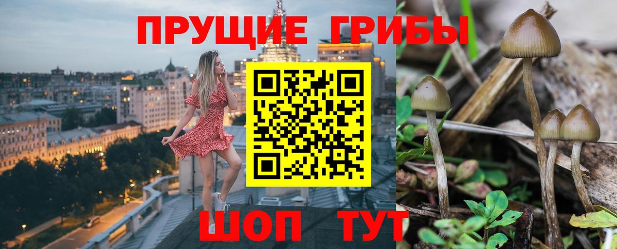 Новокузнецк  Псилоцибиновые грибы ЛСД  Псилоцибиновые грибы ЛСД  Вход с VPN 